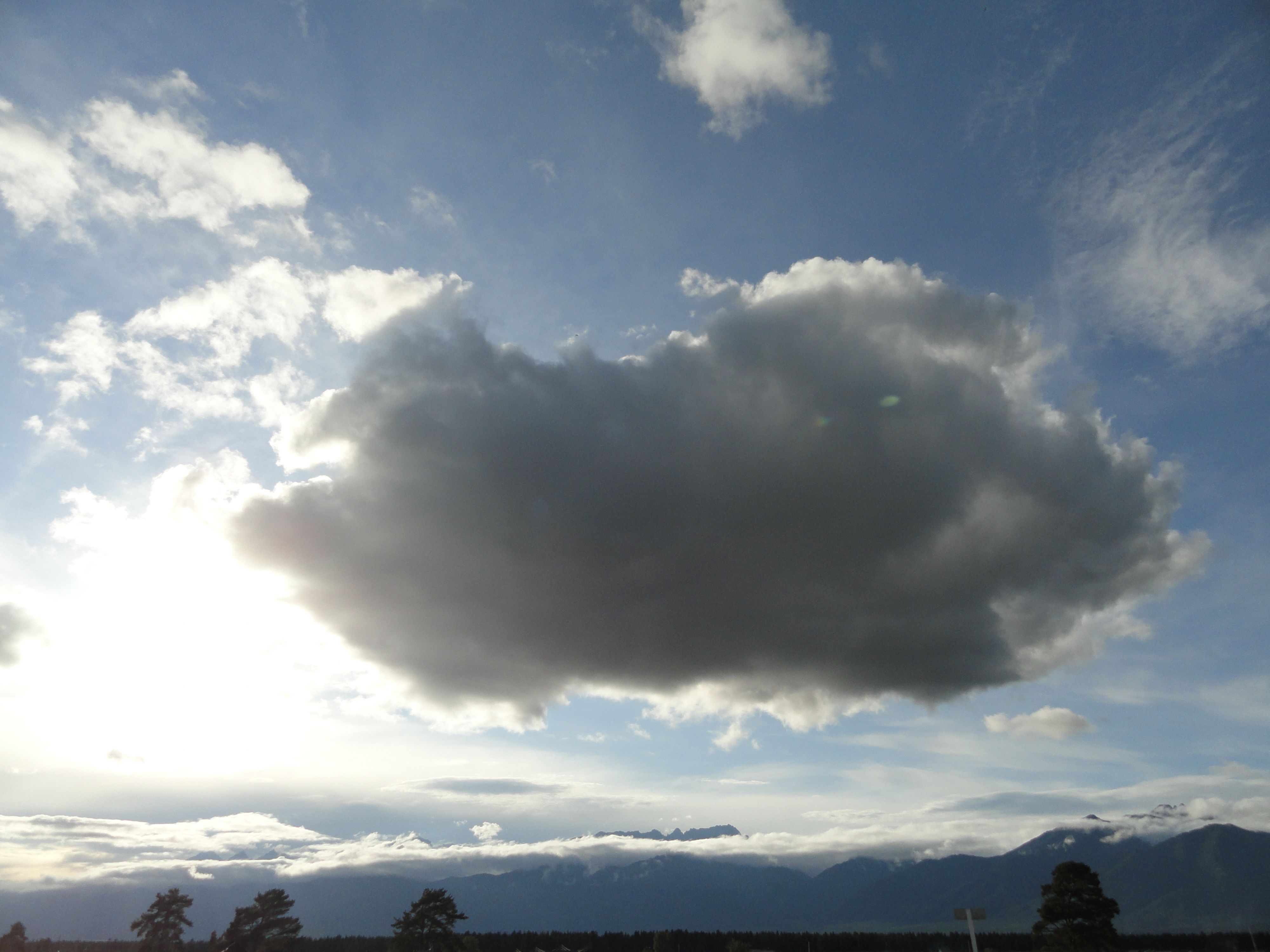 DSC00838