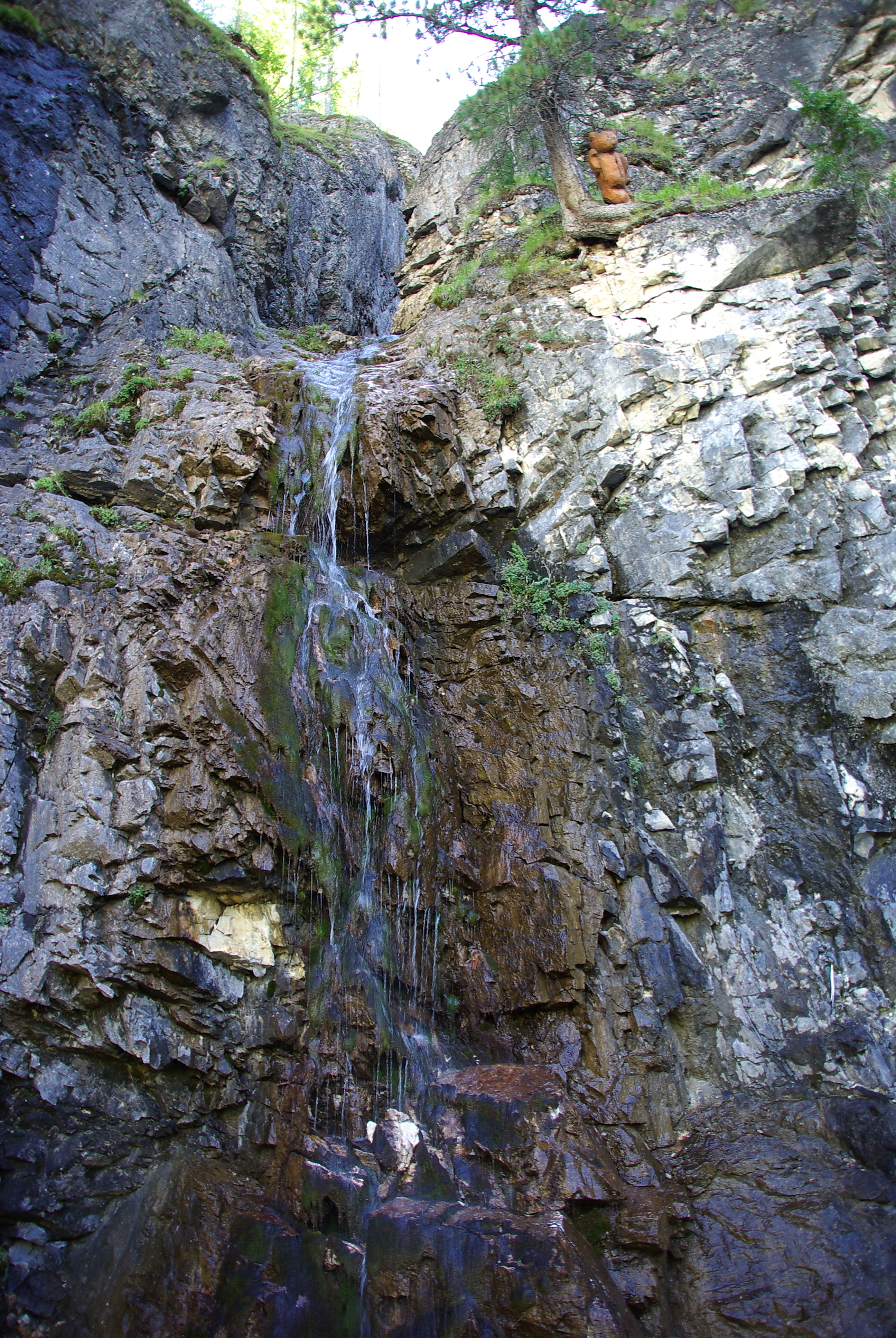 мишка на Черном Иркуте