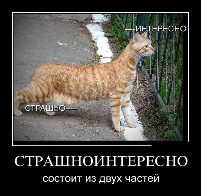 Страшноинтересно