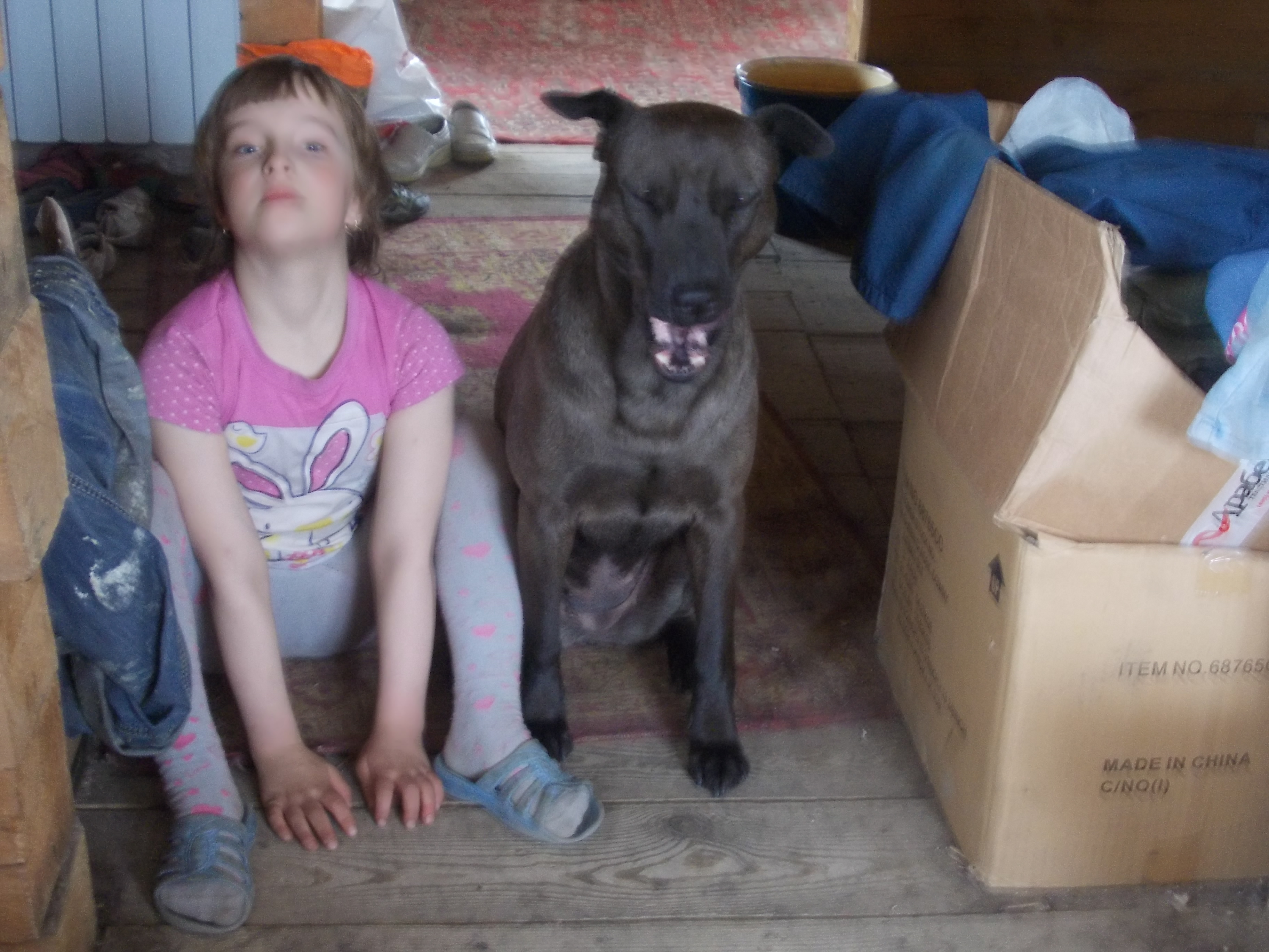 два щенка )))