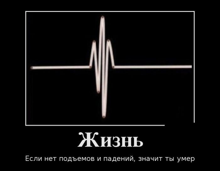 Жизнь...)))
