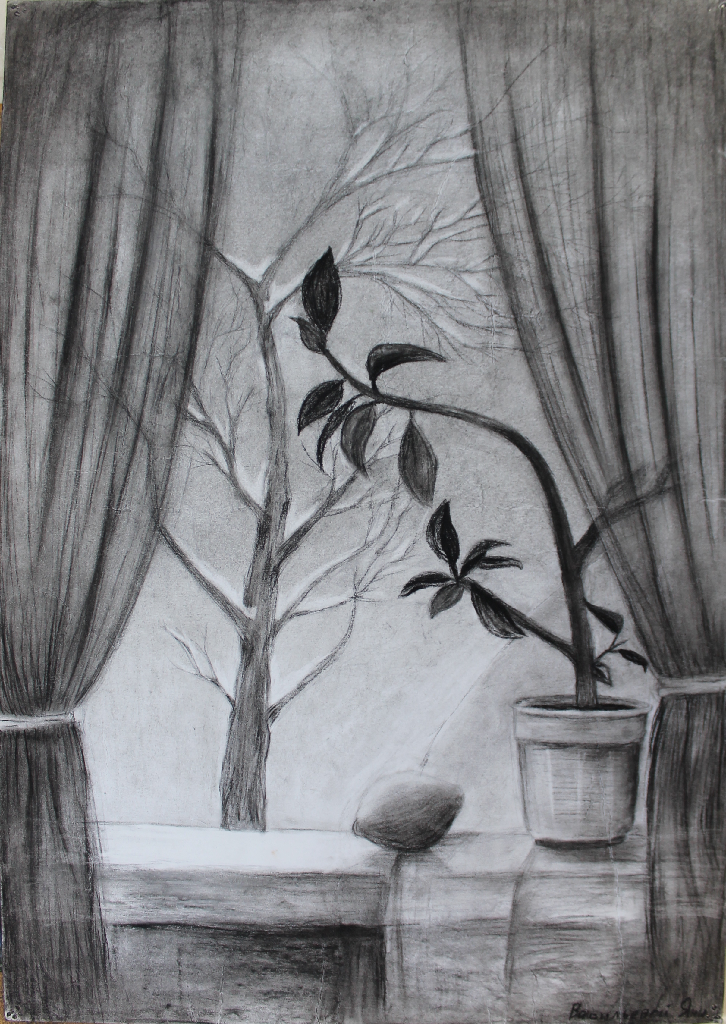 Васильева Яна 3кл.