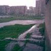 Ливень. Ливень.