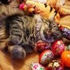 С Праздником!!!!
