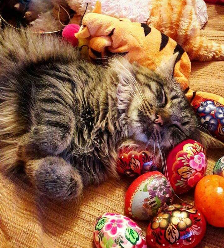 С Праздником!!!!