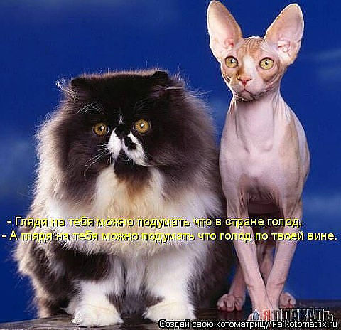 две разности))