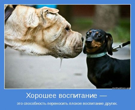 Хорошее воспитание