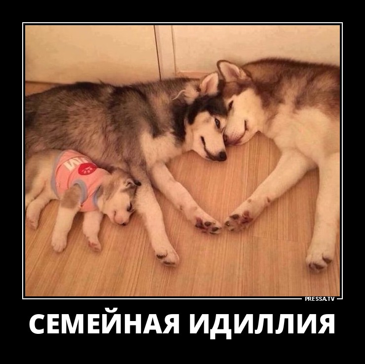 Семейная идилия