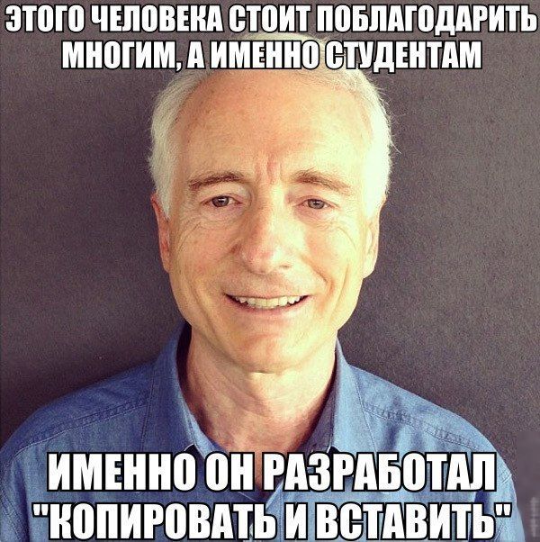 Разработчик