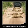 Лежачие полицейские Лежачие полицейские