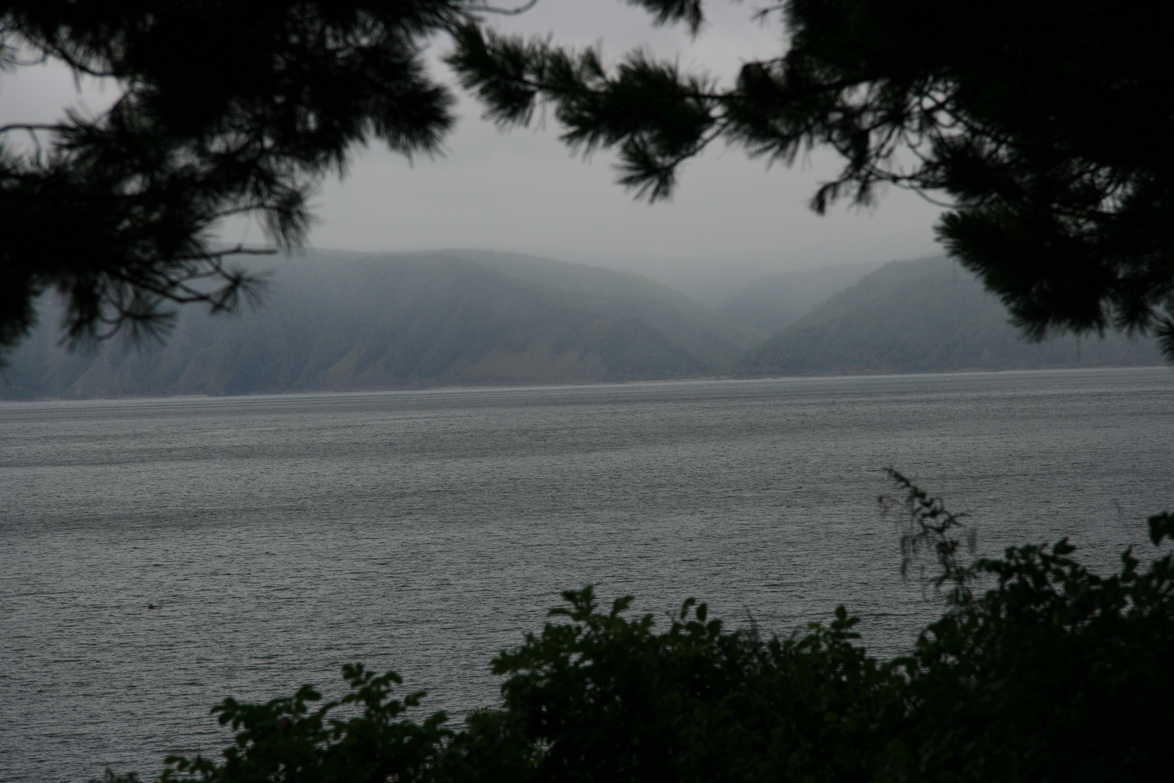 Дождливые картинки