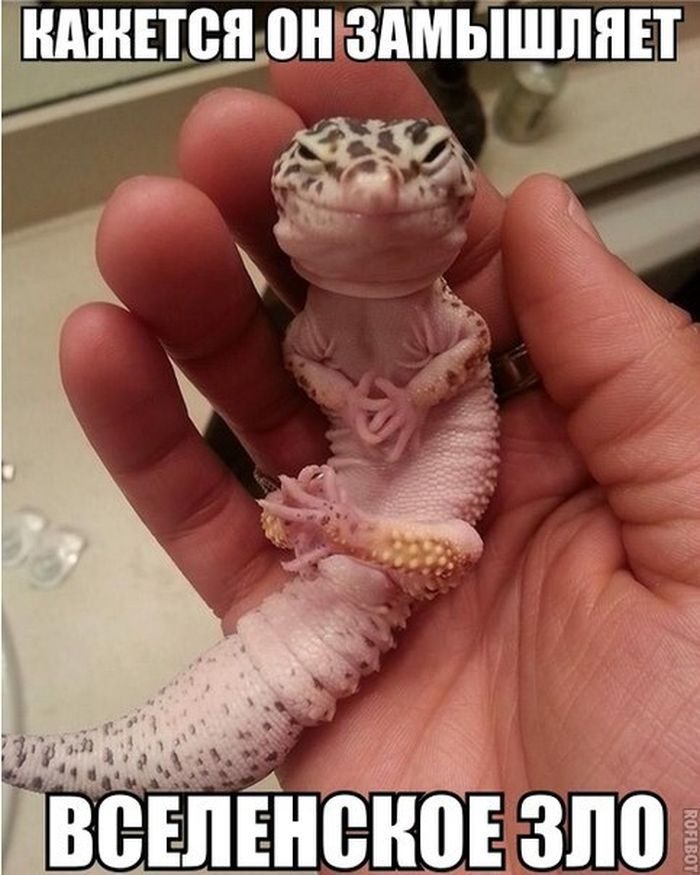 он чото замышляет)))))