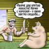 Крутые новости Крутые новости