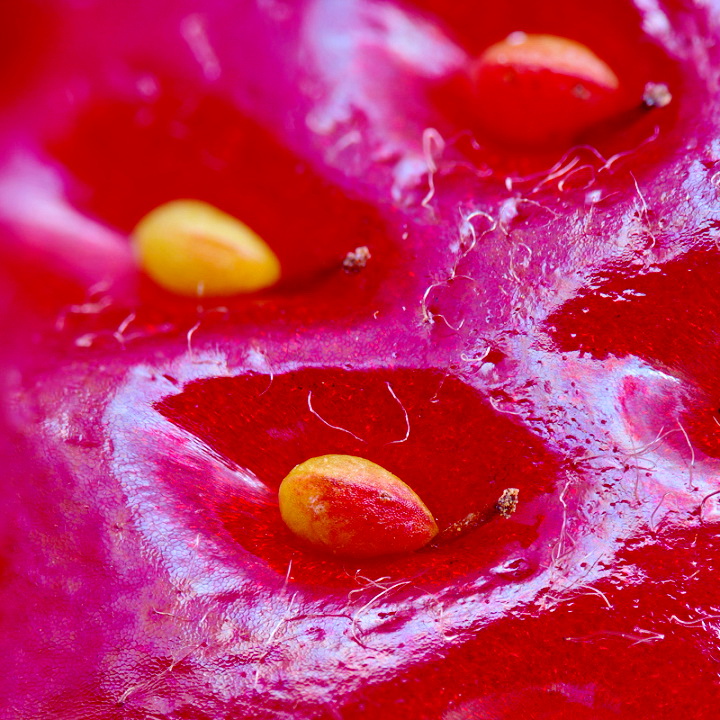 макроклубника))))