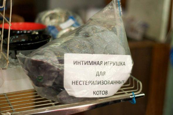 интимная игрушка для котов