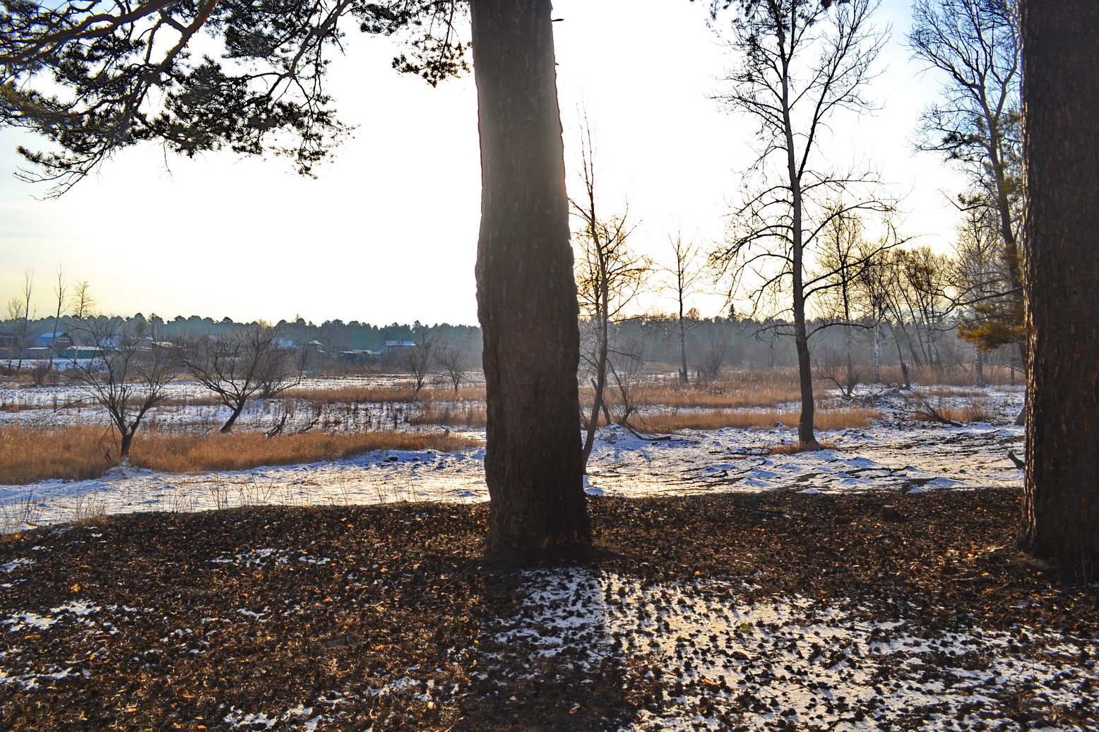 1 декабря)))))