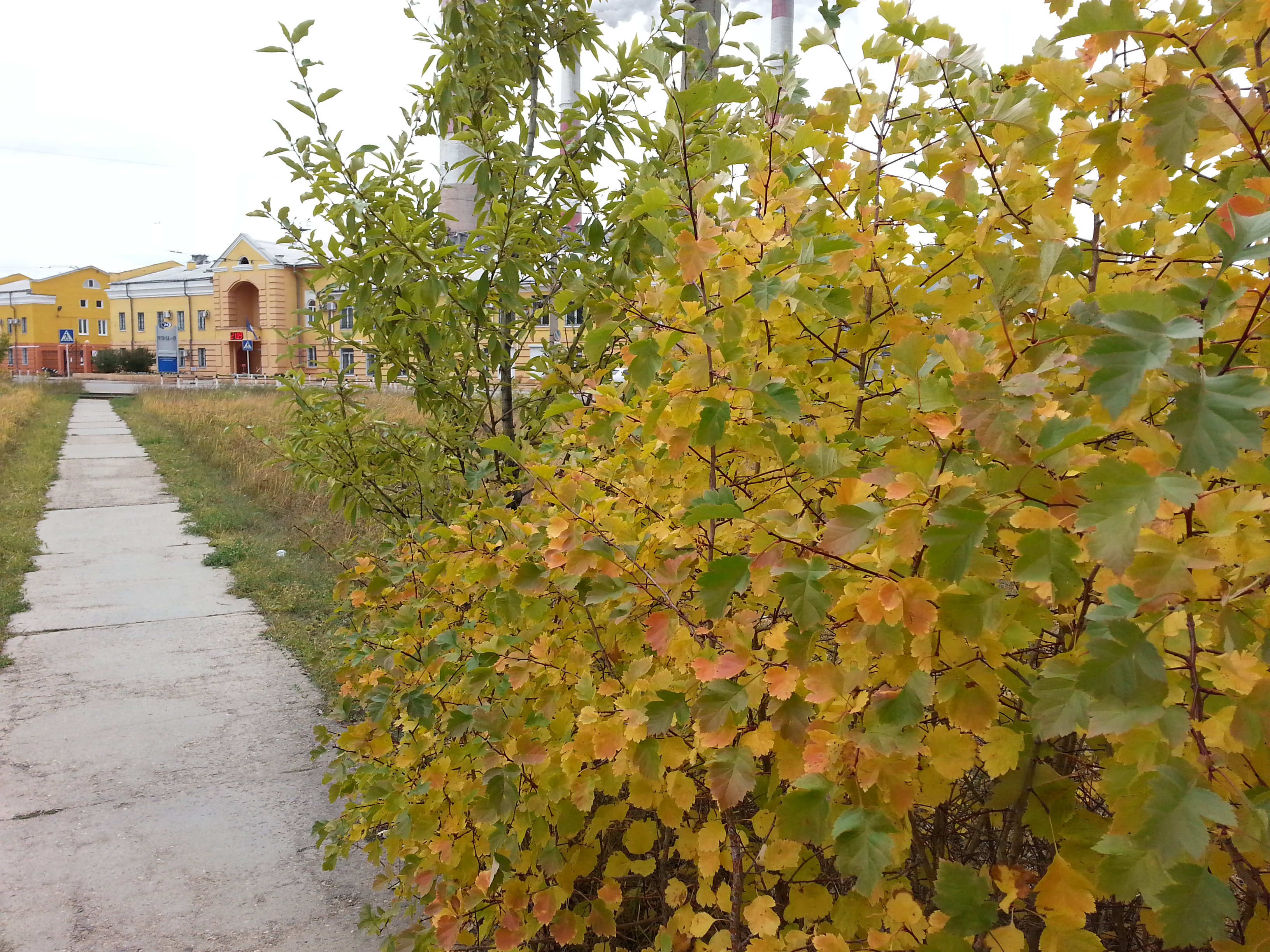 асенняя тец)))))