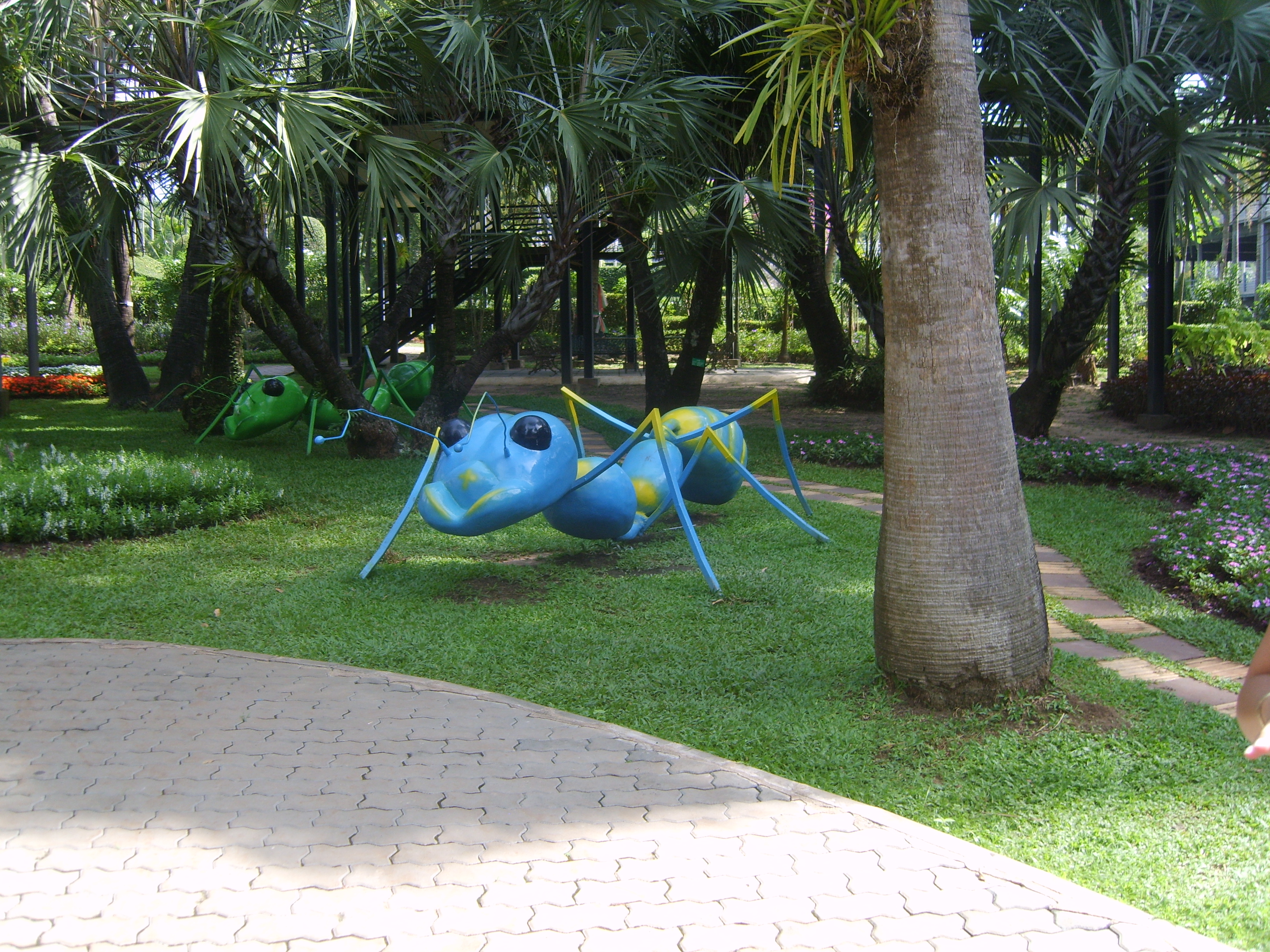    КУча  гигантских насекомых в Нонг Нуче