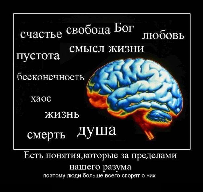Разум