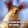 Прическа по утрам Прическа по утрам