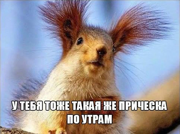 Прическа по утрам