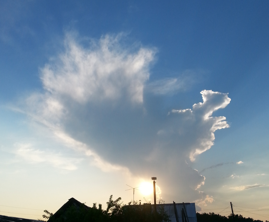 облачная белка)))))