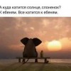 Куда катится солнце?