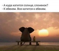 Куда катится солнце?