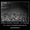 Общественное мнение Общественное мнение