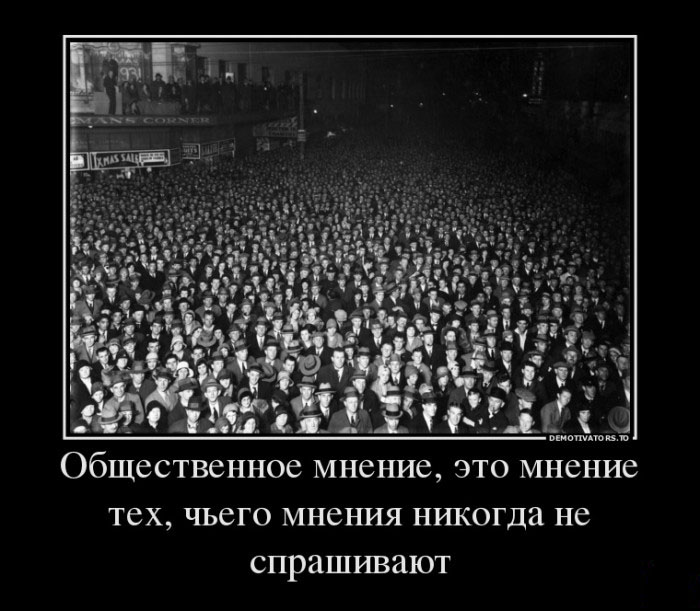 Общественное мнение