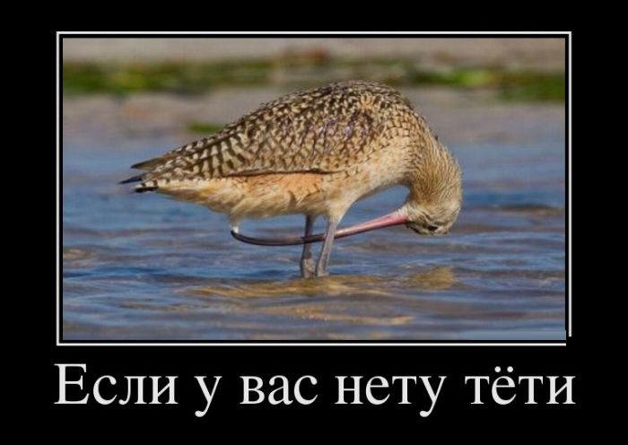 Если у вас нету тети