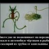 Поделки из капельницы