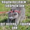 Прогулка с котами Прогулка с котами