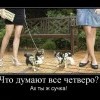 Что думают все четверо Что думают все четверо