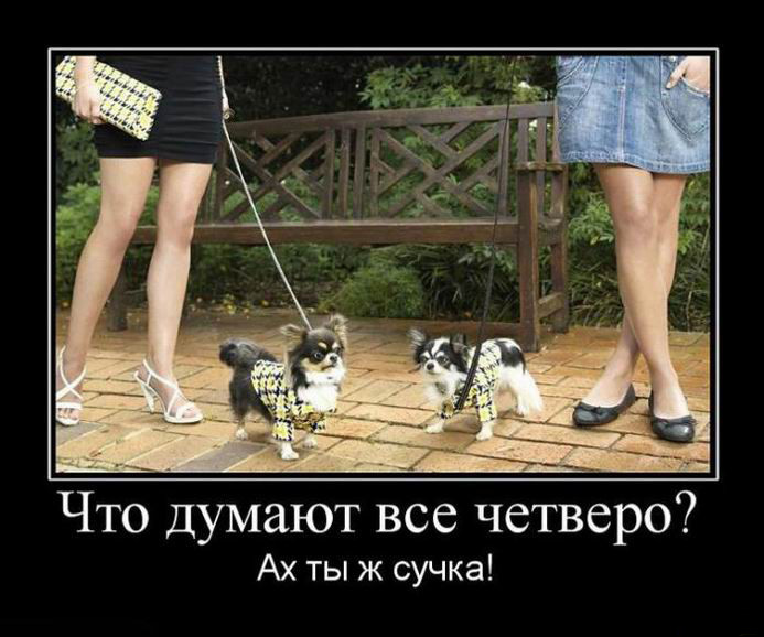 Что думают все четверо