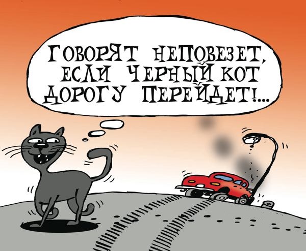 Черный кот