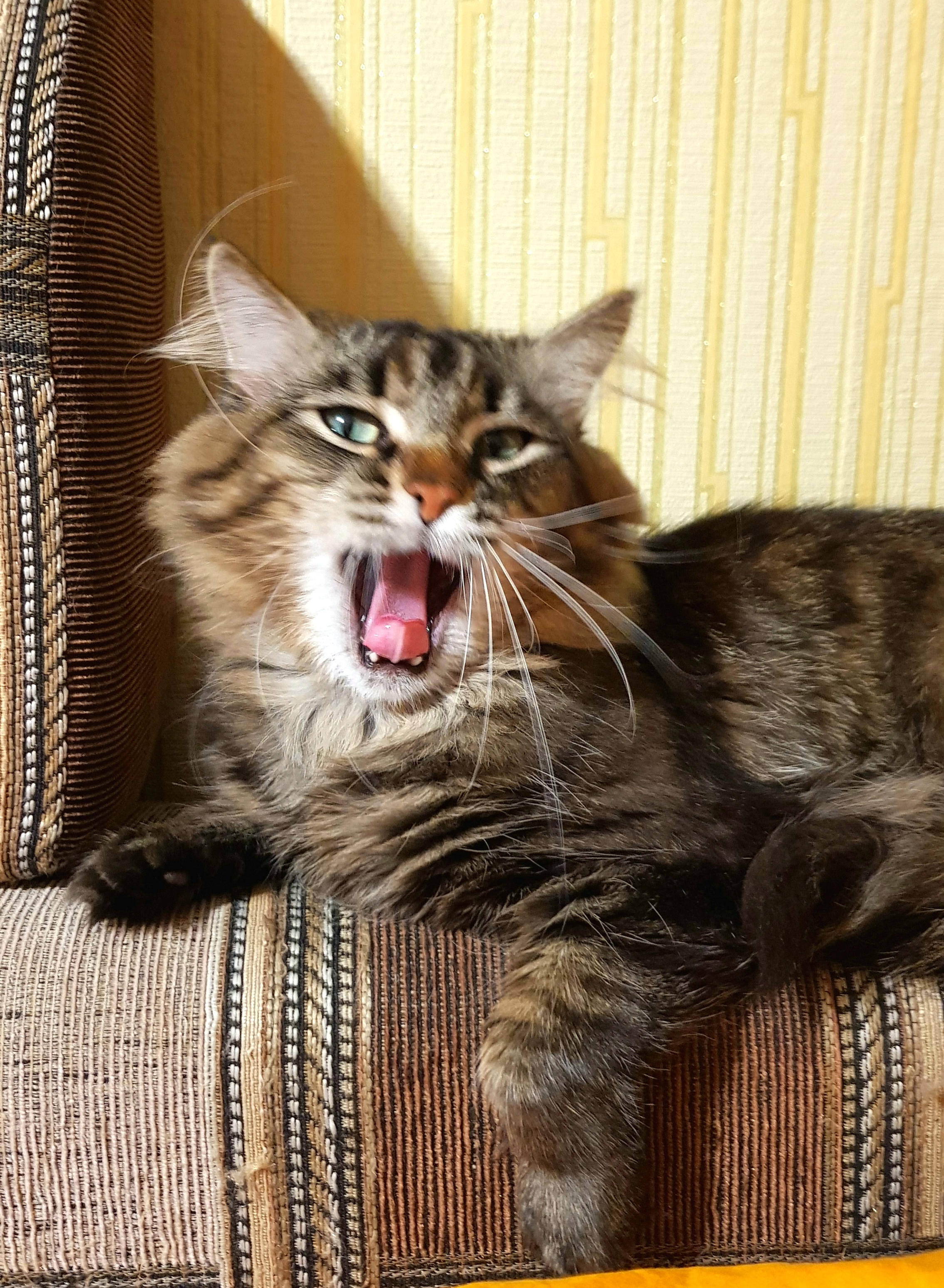 когда никуда не надо)))))