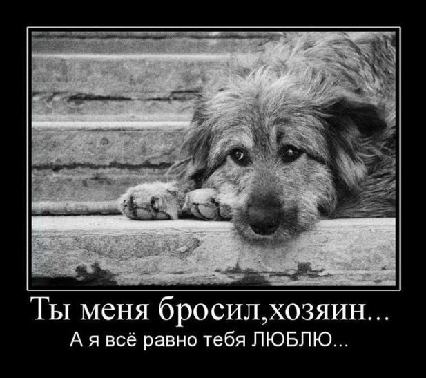 Всё равно тебя люблю