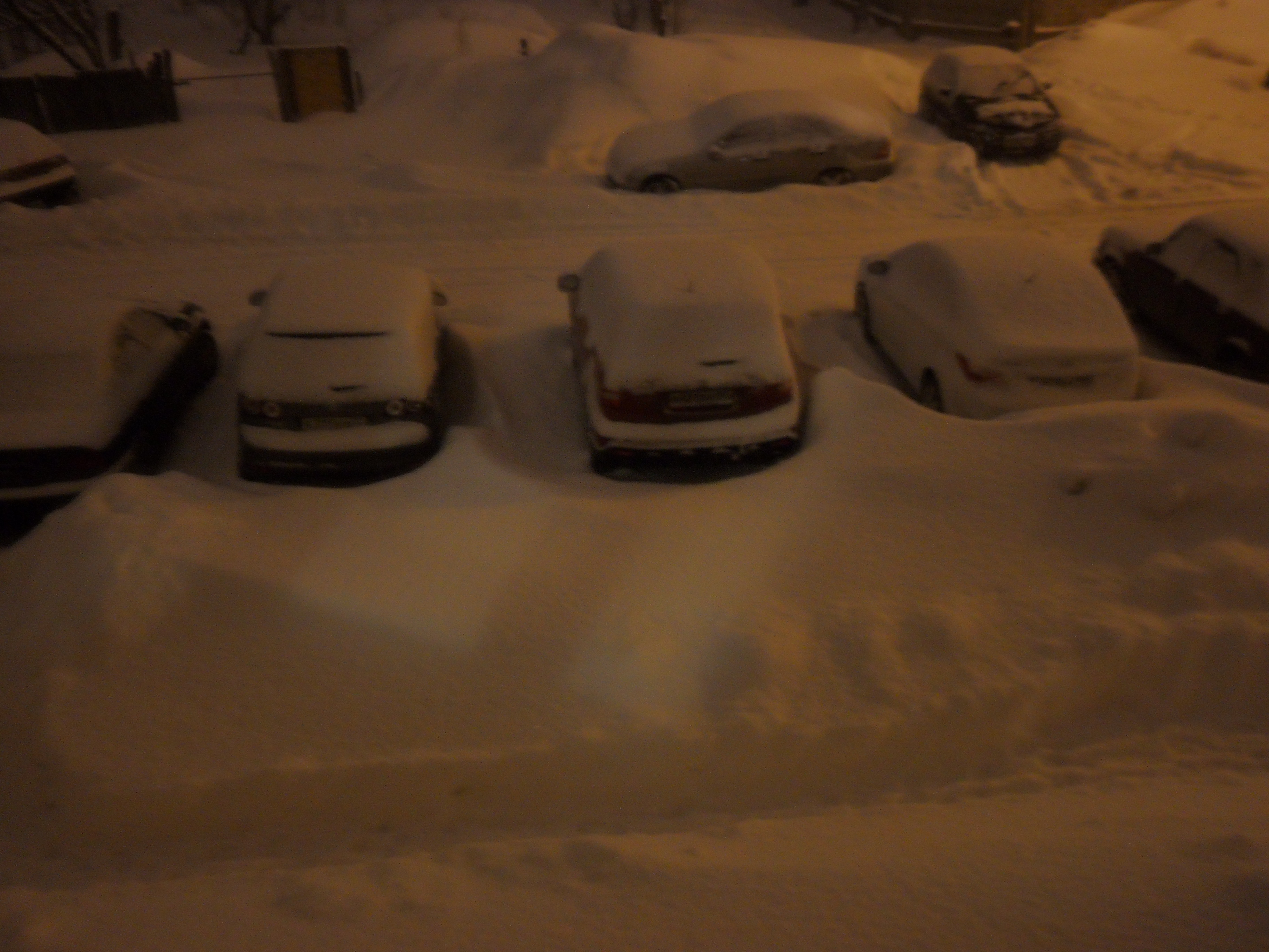 Шел  53-й день  февраля)