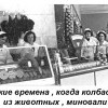 Варварские времена Варварские времена