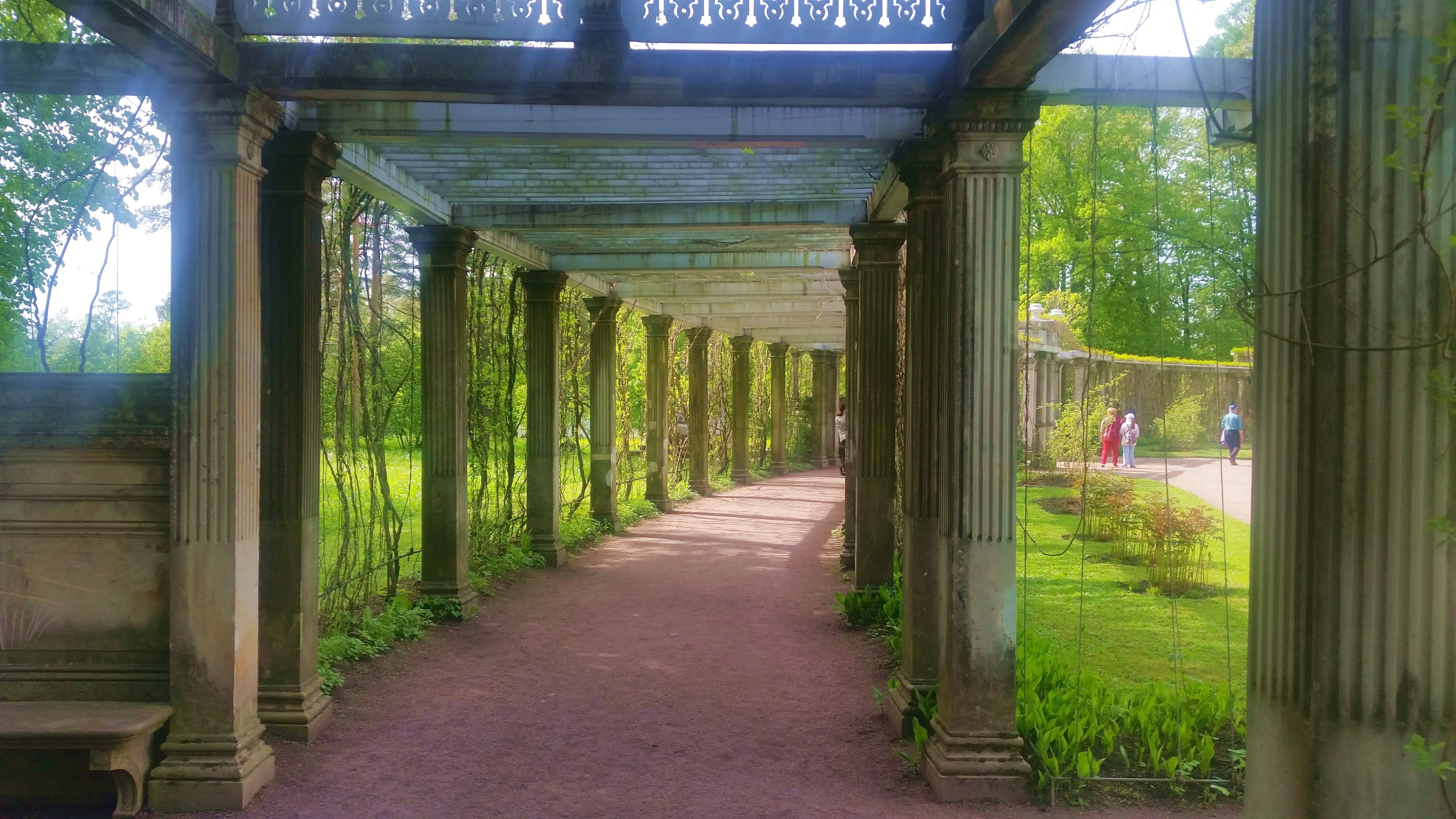 Моё, Санкт-Петербург, город, хорошо, Пушкин