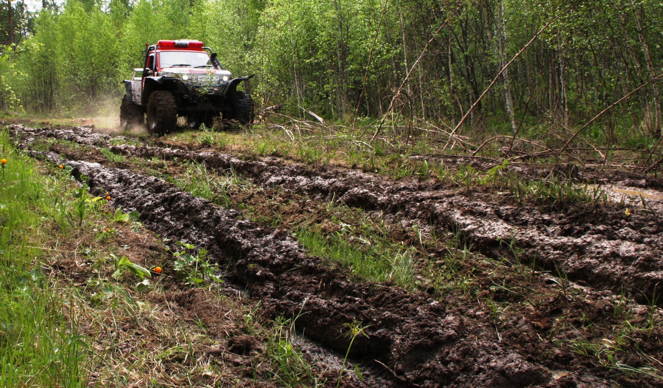 Удинские топи 2012