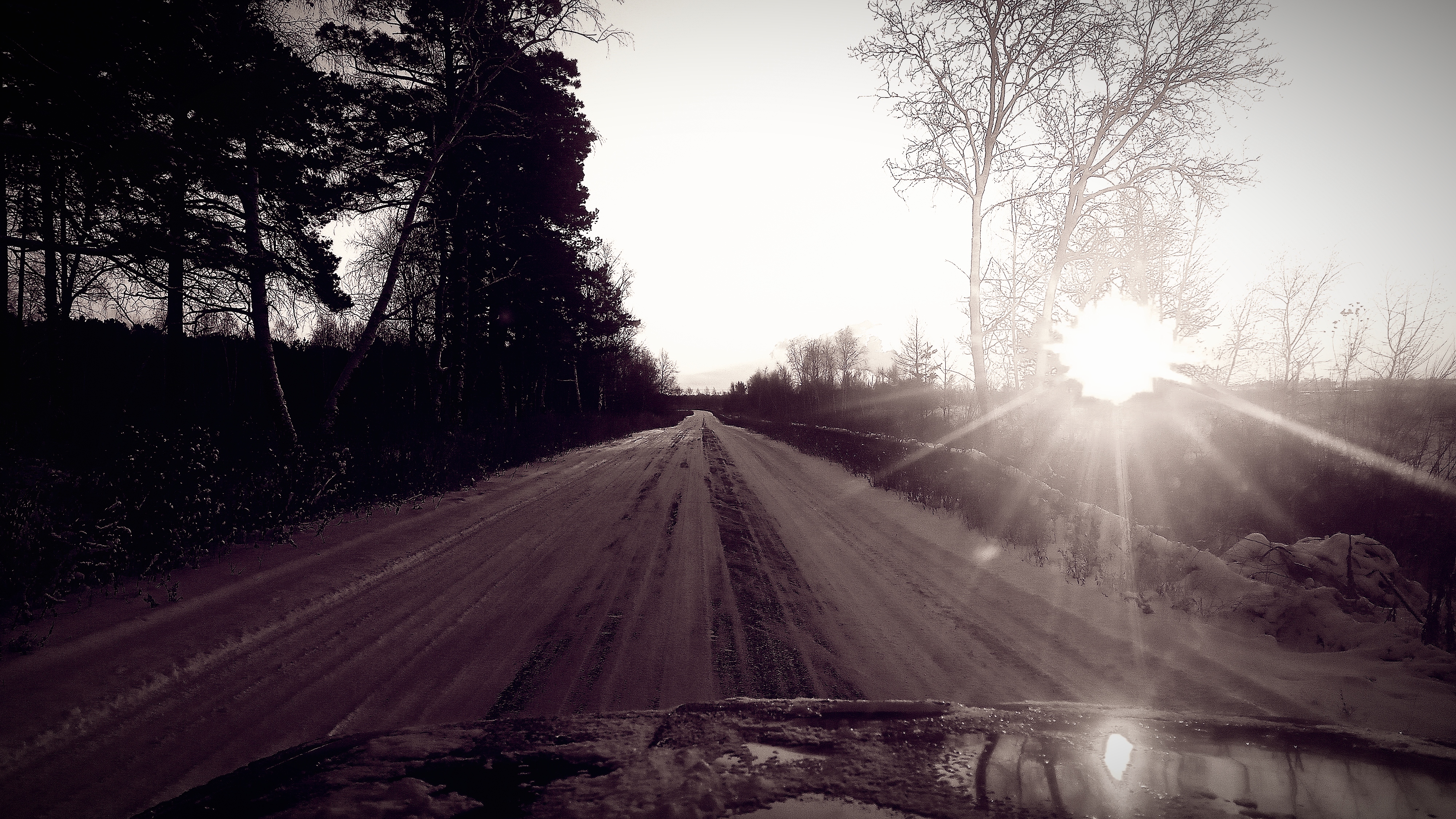 52.500514003561726, 103.87898412416976