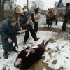 Узбагоилась. Узбагоилась.