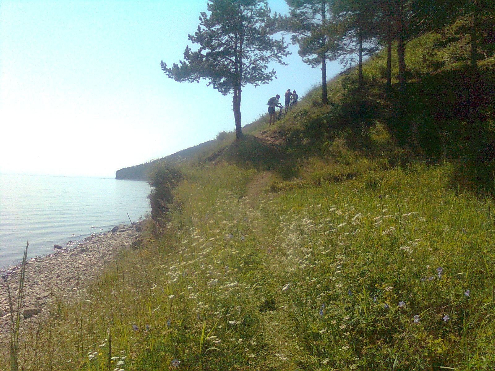 С велами по ББТ