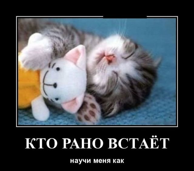 Кто рано встает