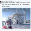 Суровые люди Норильска
