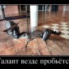 Талант