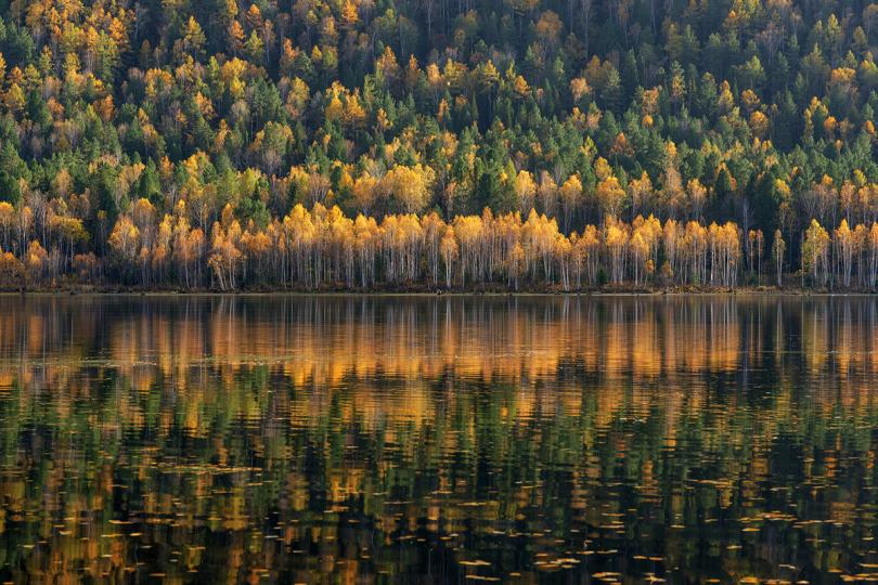 360bf53fbb1f278a90c263747fa prev