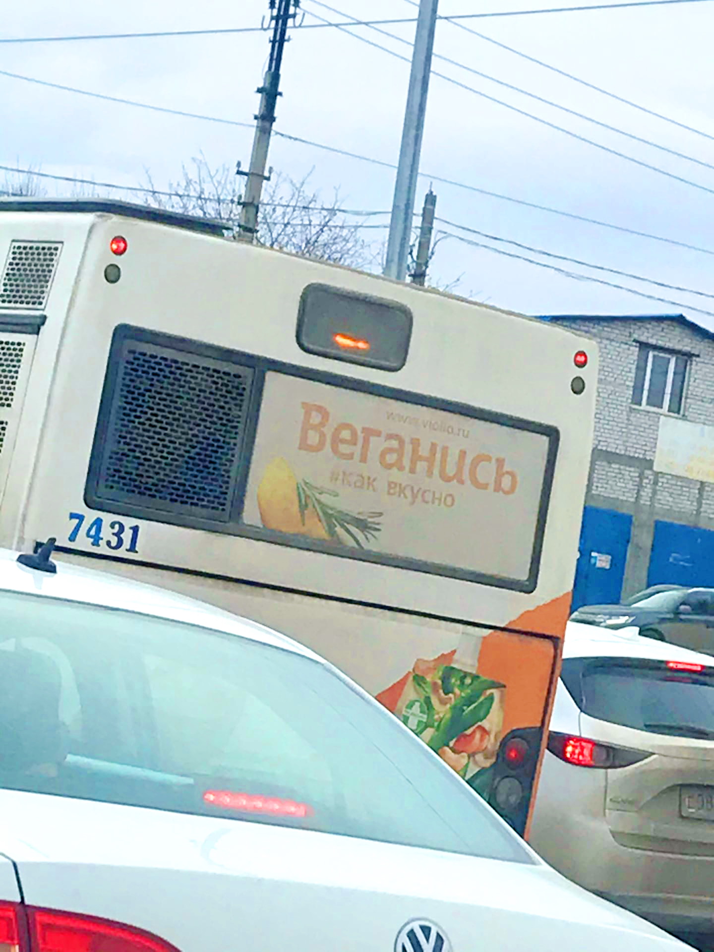 веганись))))))